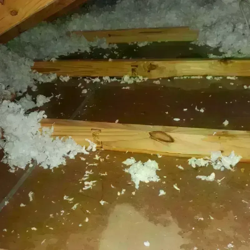 Attic Water Damage in Glouster, OH