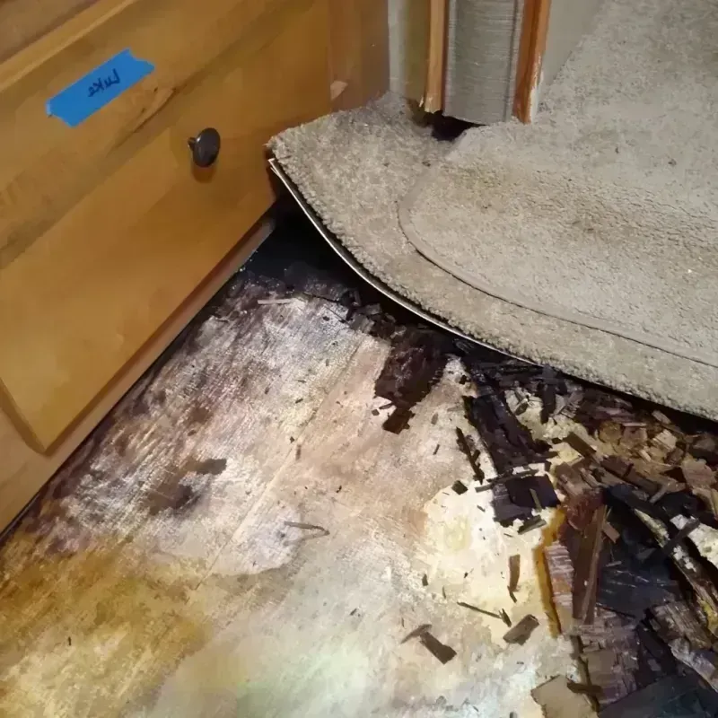 Best Wood Floor Water Damage Service in Glouster, OH